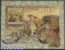 Lions s/s