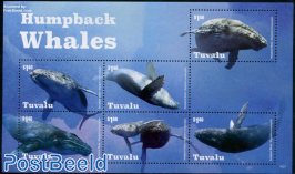 Humpback Whales 6v m/s