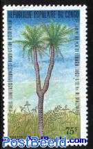 Oil palm 1v