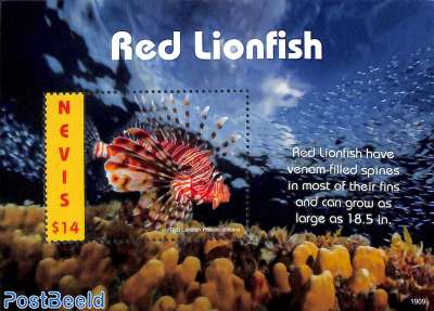 Red Lionfish s/s