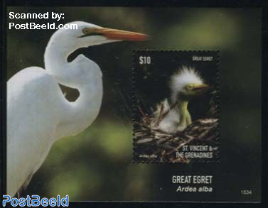 Great Egret s/s